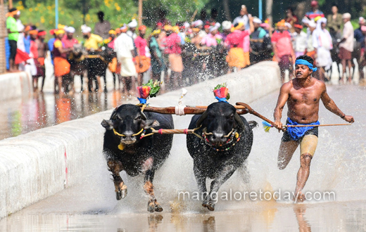 Rama-Lakshmana Jodukare Kambala